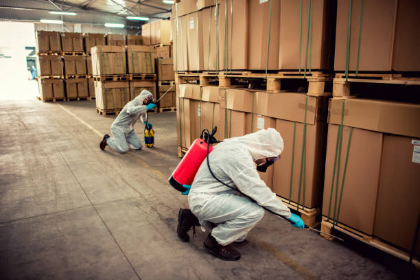 Professional Pest Control in Jefferson City, MO