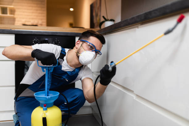  Jefferson City, MO Pest Control Pros