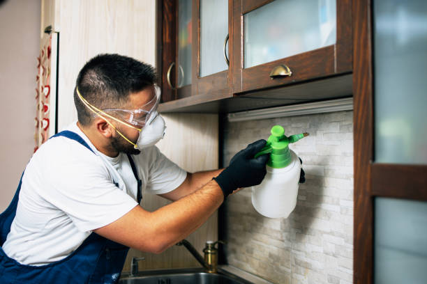 Best Affordable Pest Control Services  in Jefferson City, MO