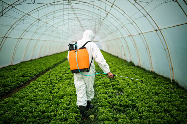 Best Pest Control for Homes  in Jefferson City, MO