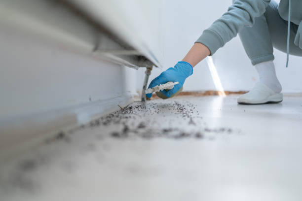 Best Insect Control  in Jefferson City, MO